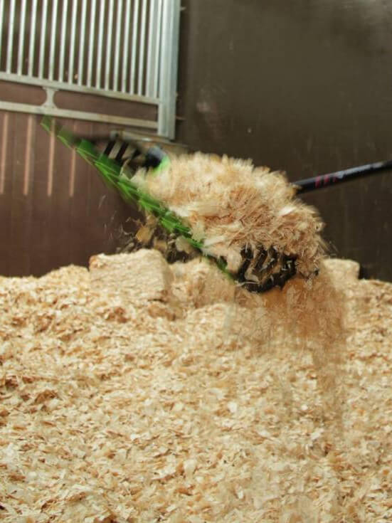 Shavings Bedding Aylesbury