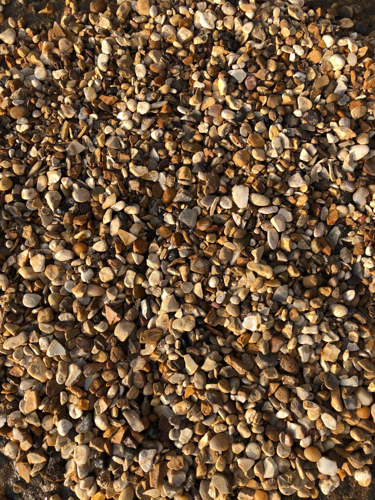 10mm shingle close up (wet)