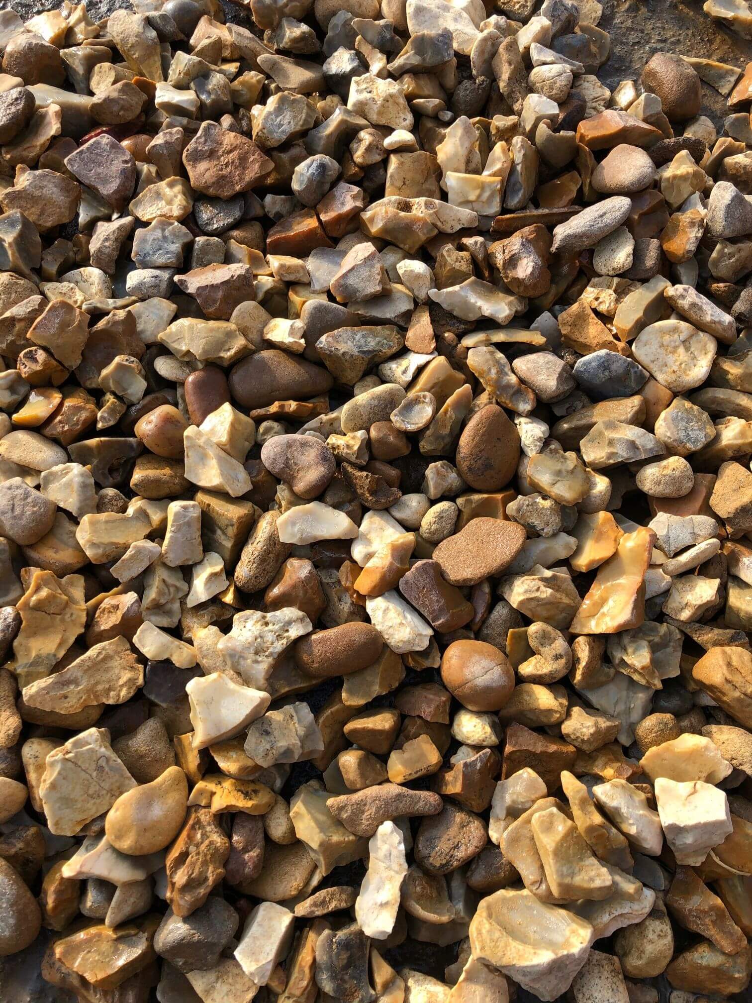 20mm shingle close up (wet)